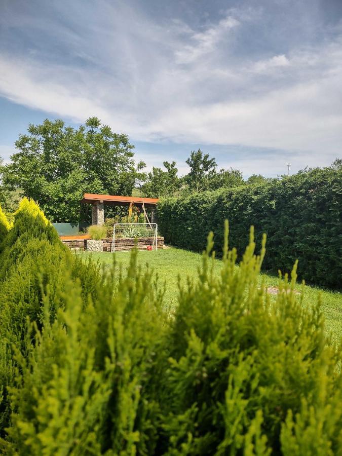 Appartement Privat Arcadia à Podhájska Extérieur photo